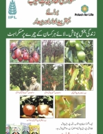 apple leaflet