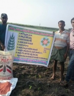 Demo plot in Andhra Pradesh, India