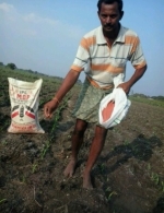 Demo plot in Andhra Pradesh, India