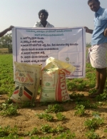 Demo plot in Andhra Pradesh, India