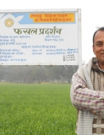 Wheat demo plot in Bihar, India