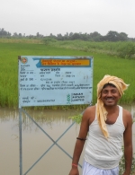 Demonstration field, rice crop in Mr. Baleshwer Mahto, Village-Tarvana, Begusarai, Bihar