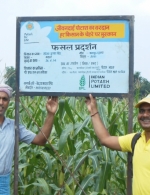 Maize Farmer Mr Sanjai Kumar and agronomist Ved Prakash Singh Village Panapur Raghunath, Vaishali, Bihar