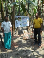 Potash application in Banana demonstration in Vaishali, India