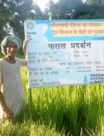 Demo plot in Khadda Kushinagar, Uttar Pradesh, India