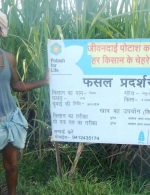 Demo plot in Khadda Kushinagar, Uttar Pradesh, India