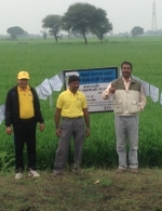 Demo plot in Madhya Pradesh, India