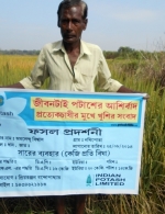 Rice demonstration plot in Nadia district, West Bengal