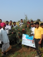 Maharashtra field day at Kasegaon pomegranate