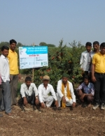 Maharashtra field day at kardhi Solapur