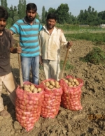 potato farmer Jammu & Kashmir