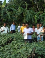 P4L campaign, North 24 Parganas, West Bengal