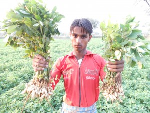 “Potash boosted my farm’s productivity and my income improved significantly” Bhola Ram Singhrol