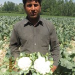 Mohd Yousaf Bhat experienced a 34.9% yield increase with Potash 4 Life recommendations