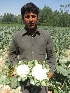 Mohd Yousaf Bhat experienced a 34.9% yield increase with Potash 4 Life recommendations