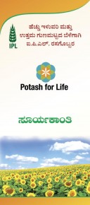 Potash for Life Sunflower brochure