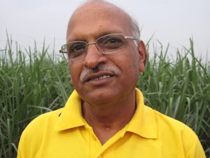 Dr Bansal, Potash for Life Director, steers the work of two hundred agronomists to hold hundreds of farmer meetings a year in nine states of India.