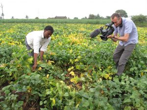 Green Shoots Patrick Harvey filming soyabean Potash Demonstration Plot positive results with host farmer